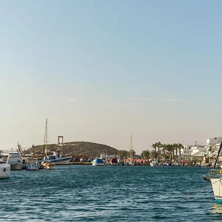 Little Diamond Of Naxos Agkidia
